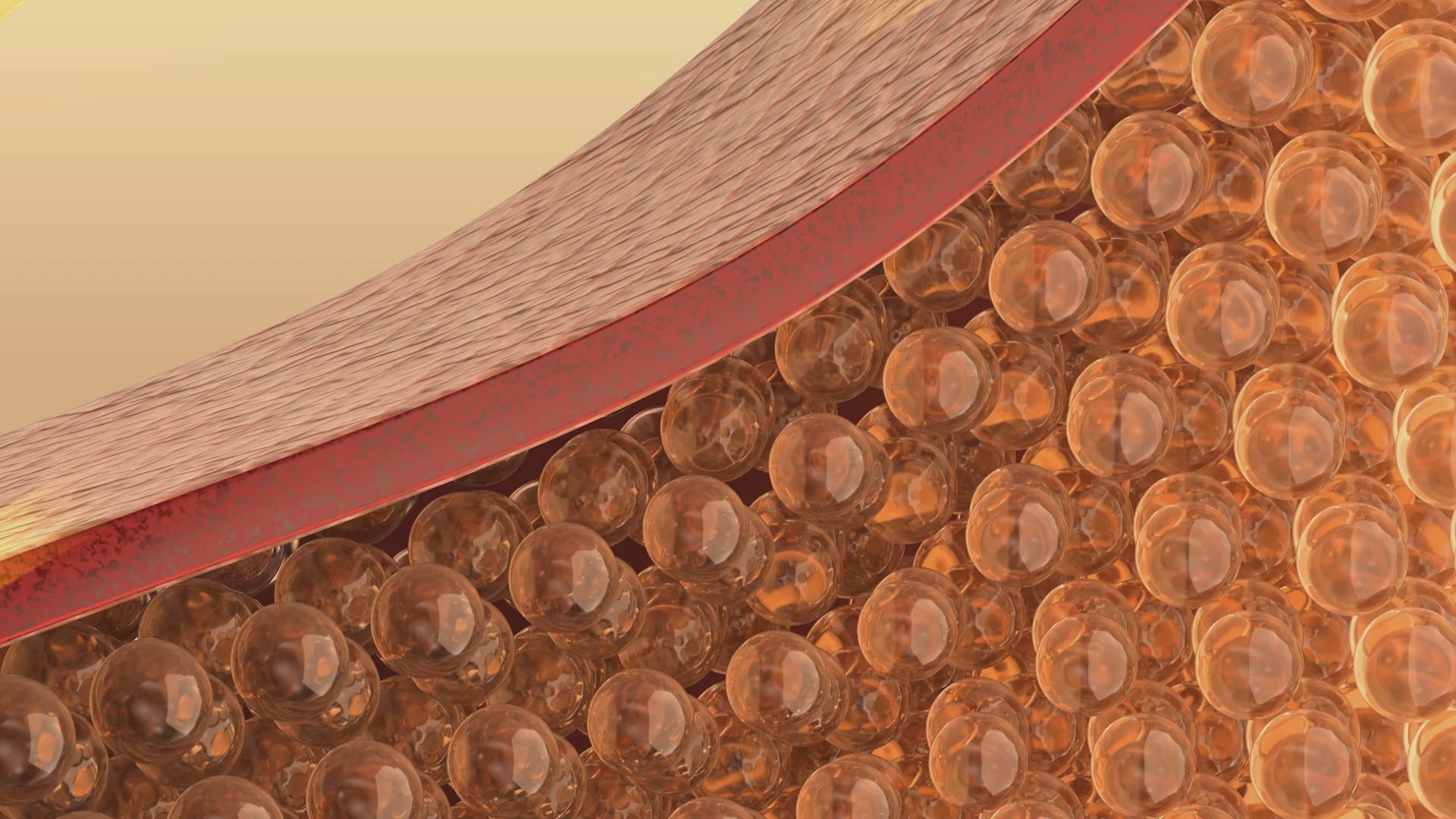 Charger la vidéo : 